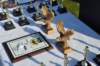 dsc_0160_small.jpg